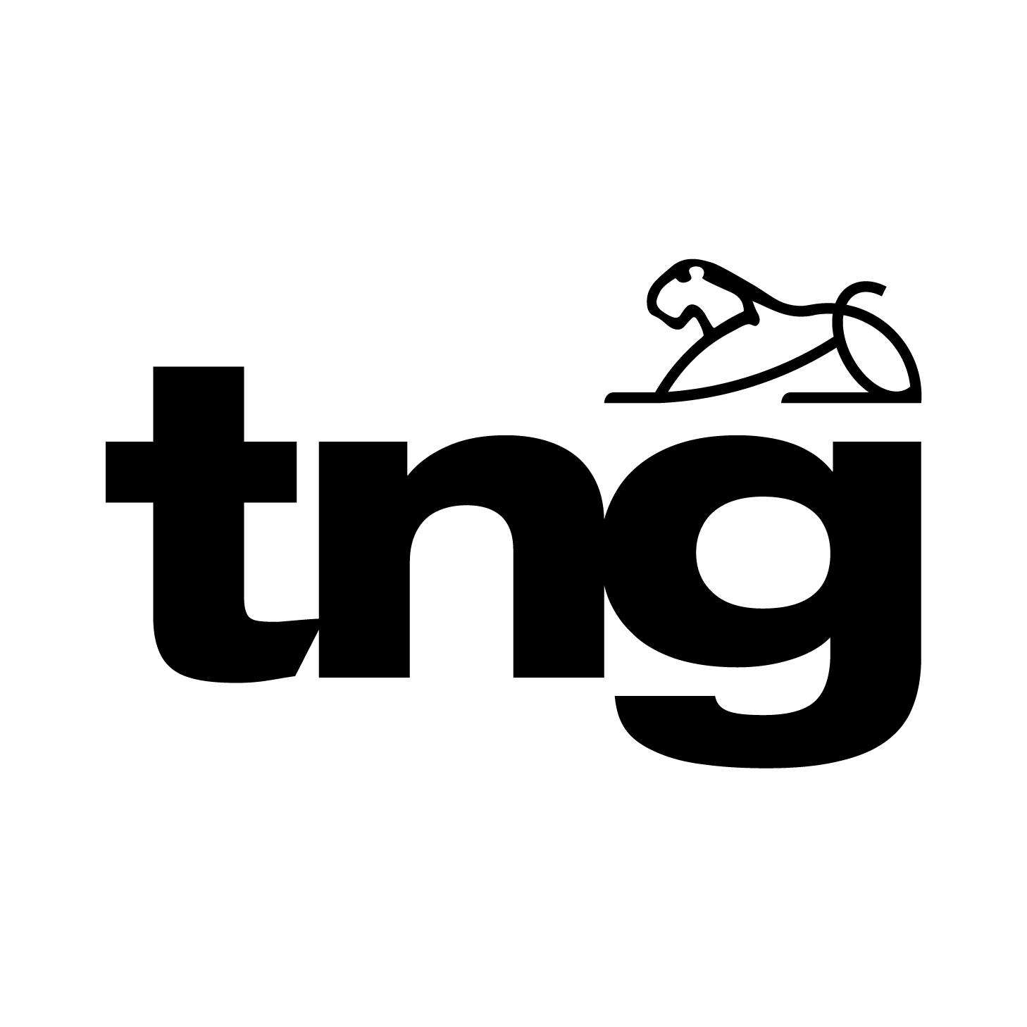 Logo TNG